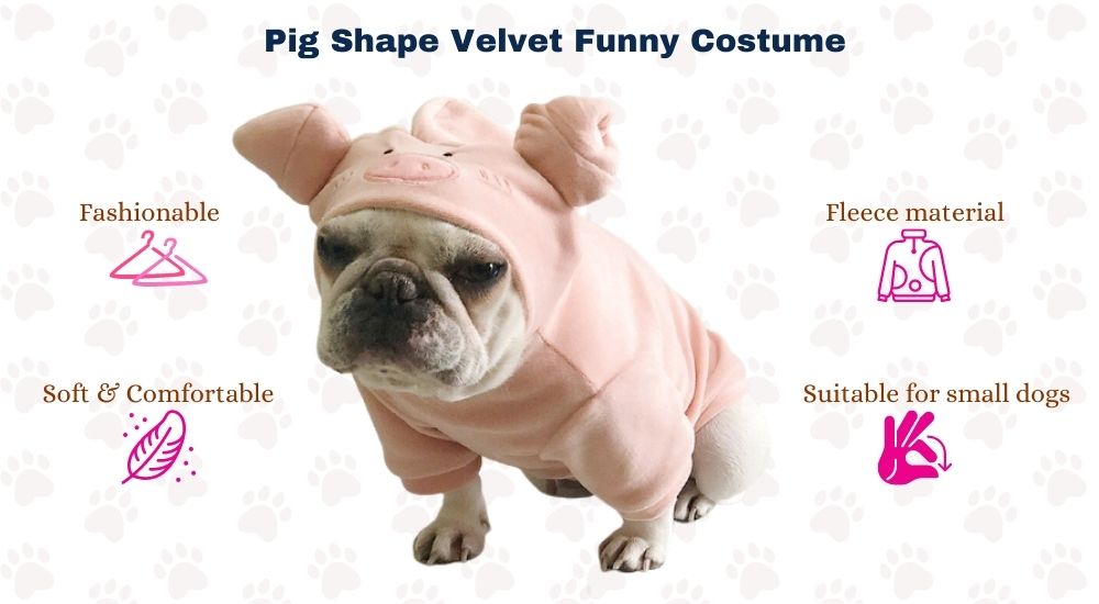 unique halloween costumes for dogs