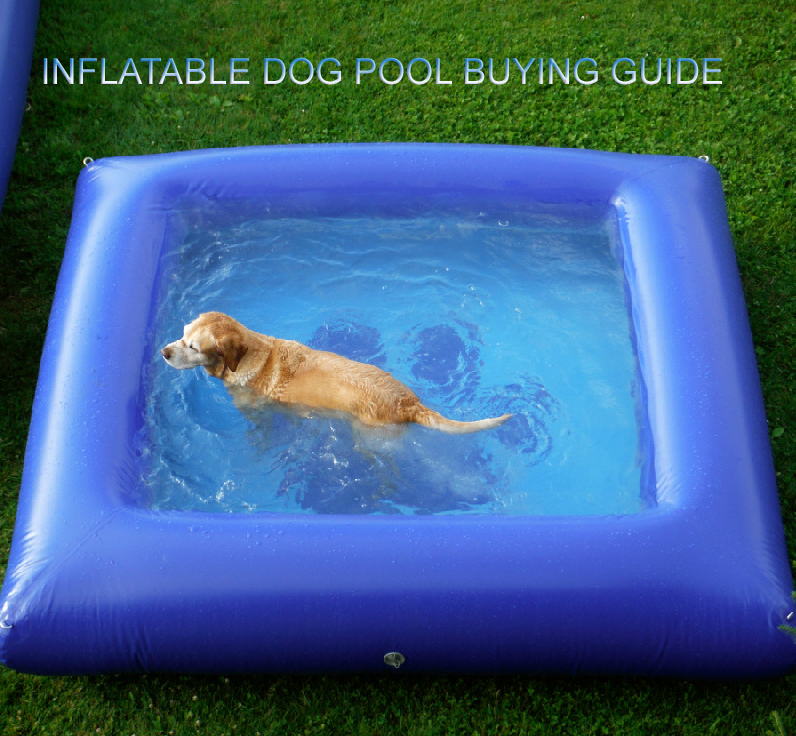 INFLATABLEDOG POOl