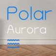 Polar Aurora